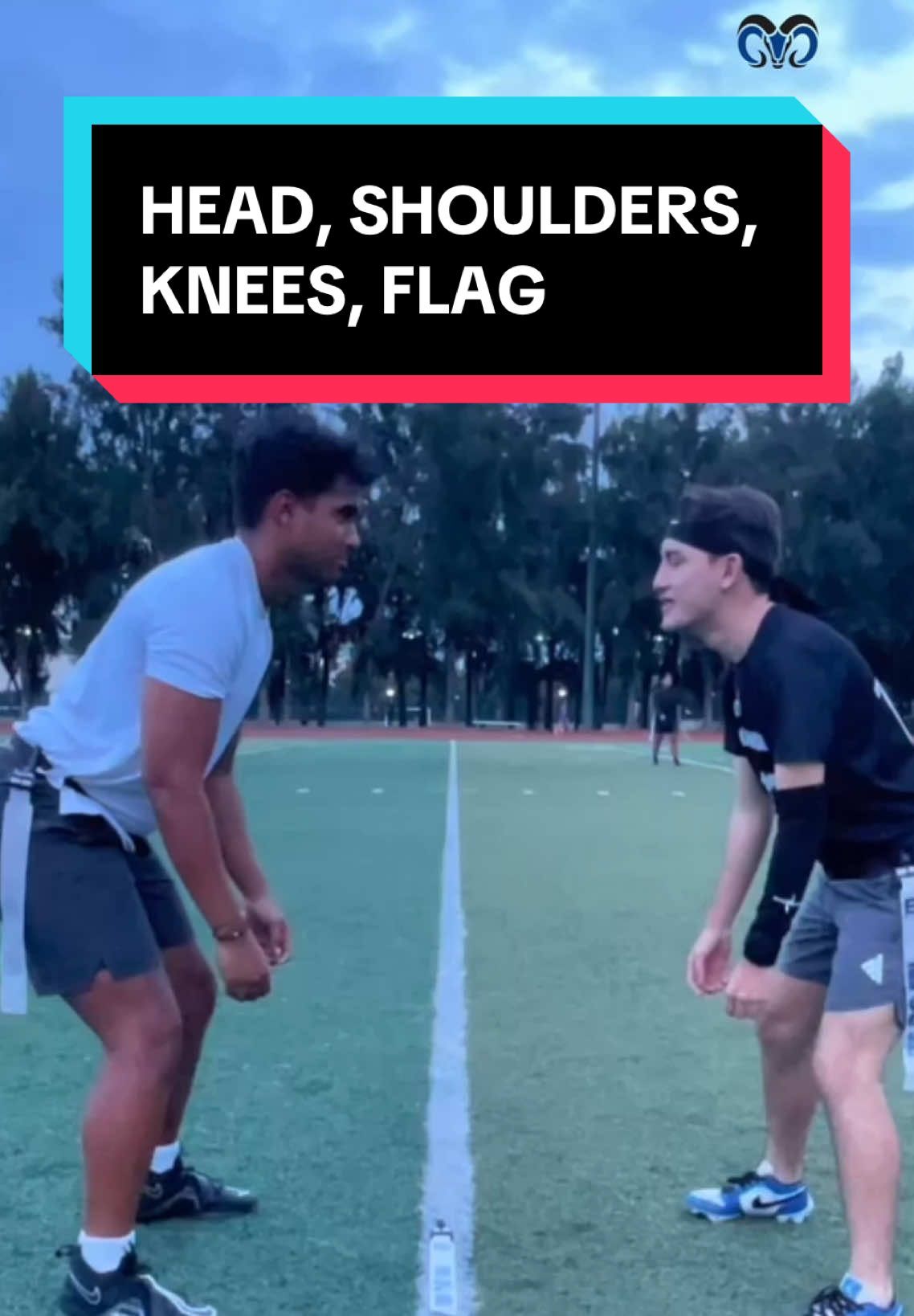 Video post by @borregostec on TikTok