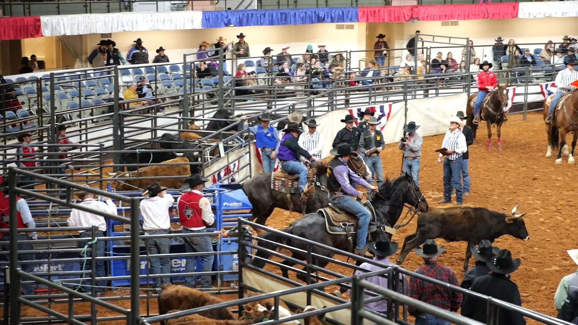 Video post by @tarletonstate on Facebook