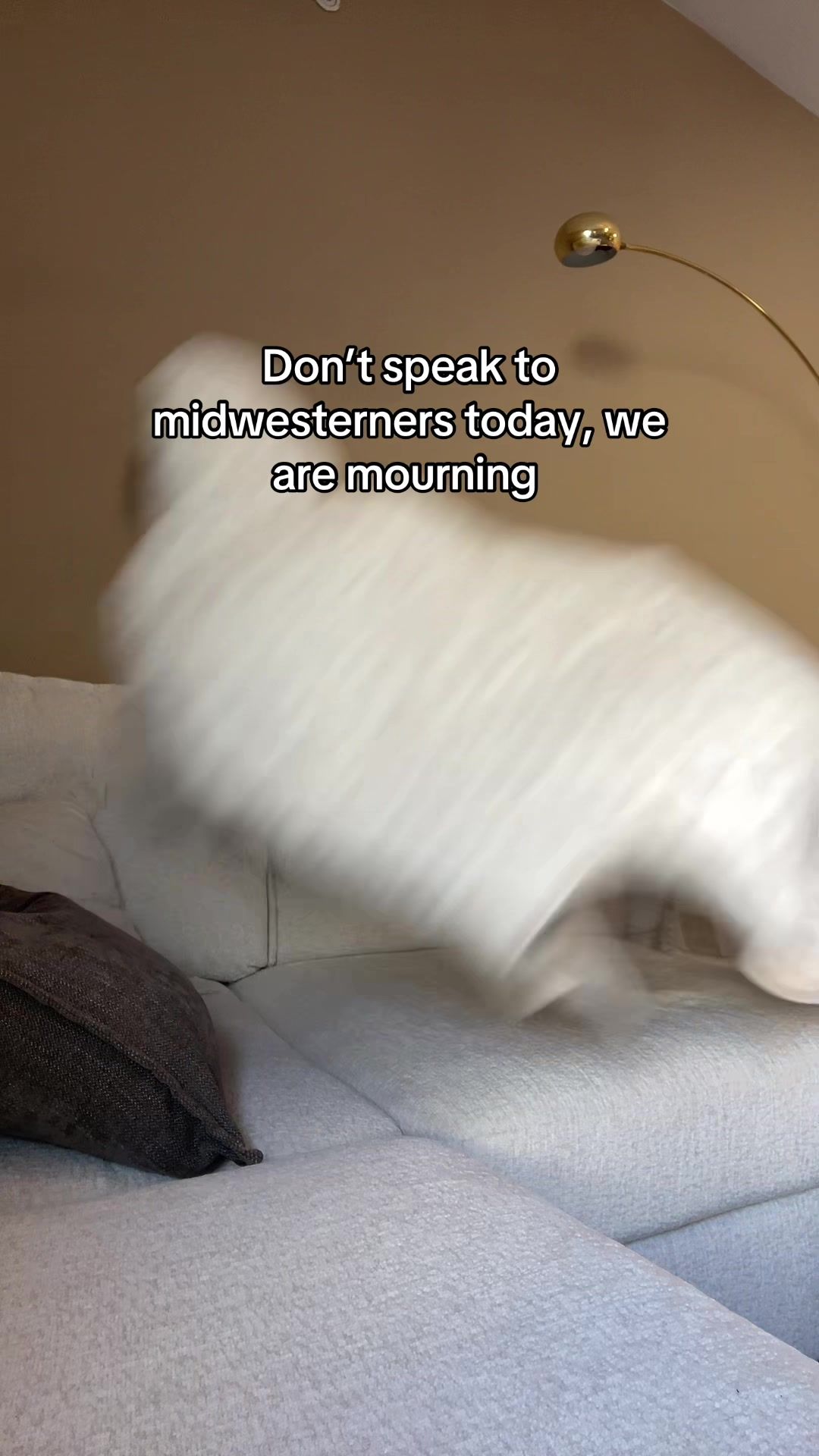 Video post by @midwestvstherest on TikTok