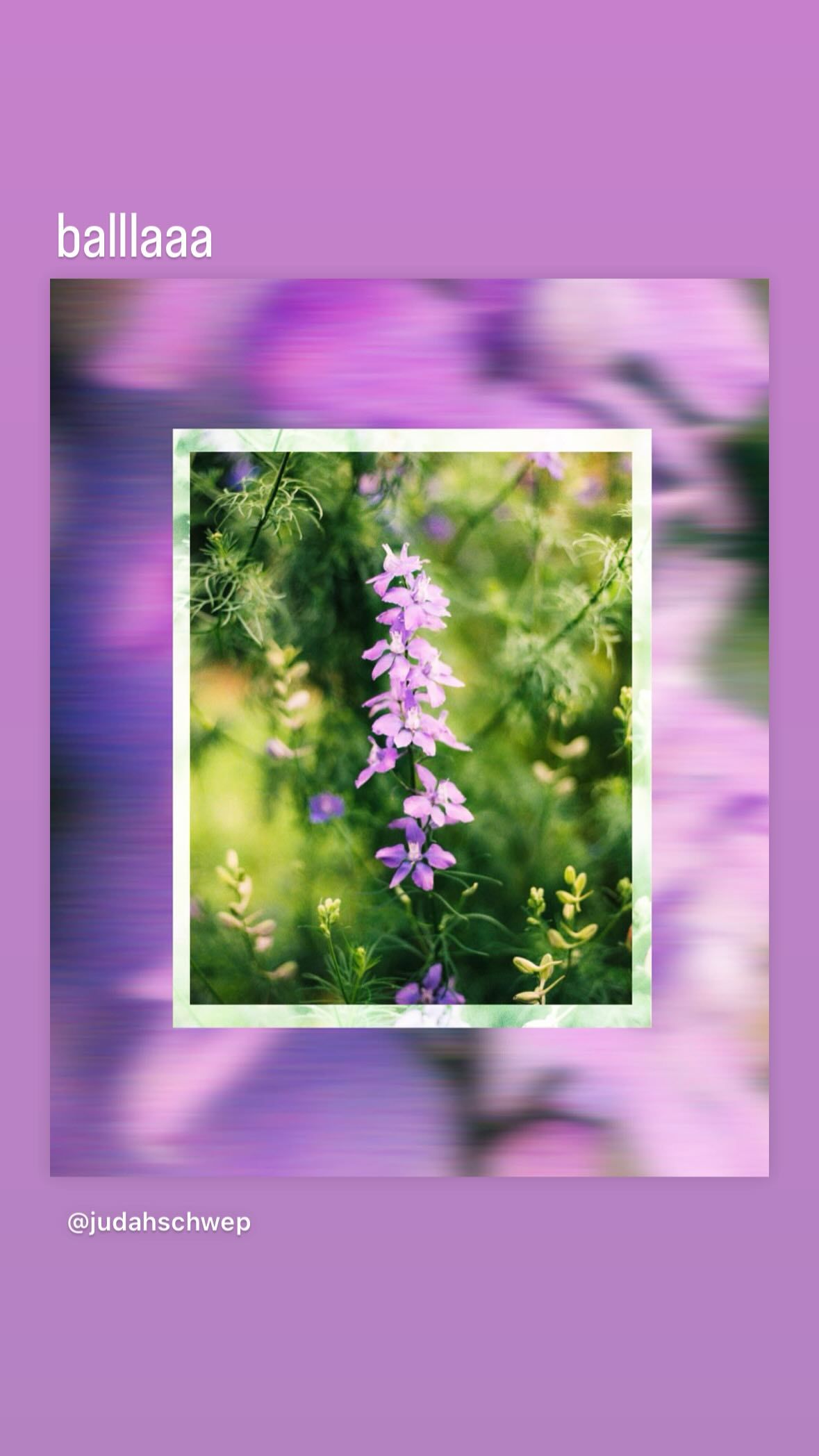 Video post by @gomediakc on Facebook