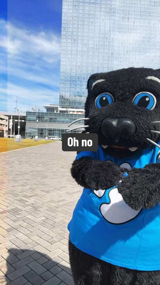 Video post by @sirpurr on TikTok
