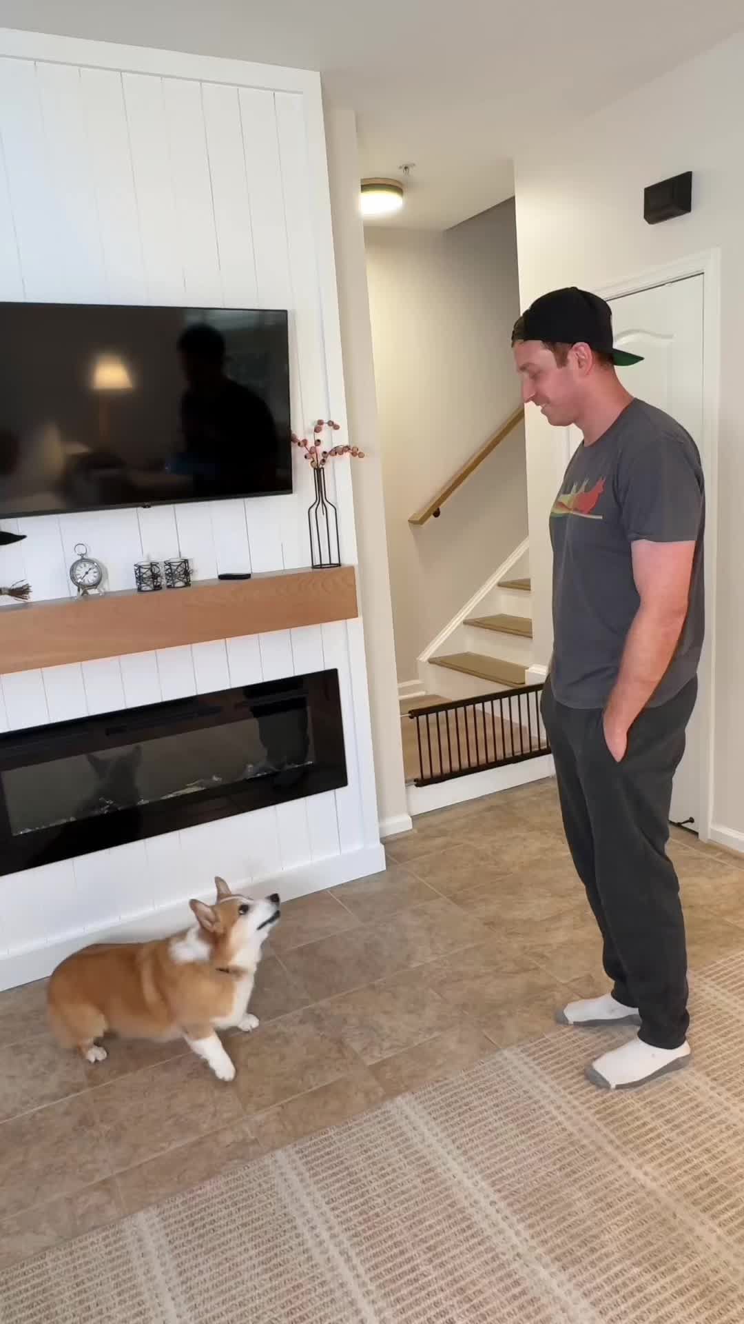 Video post by @hammyandolivia on TikTok