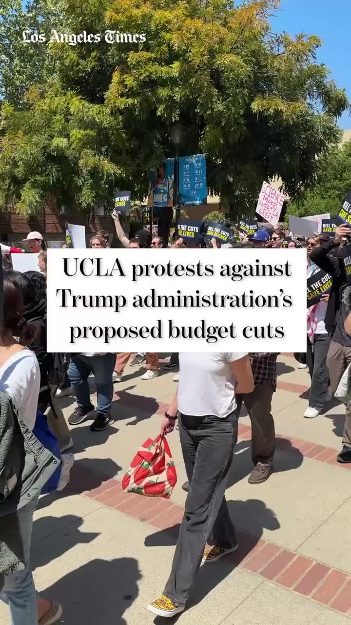 Video post by @latimes on TikTok