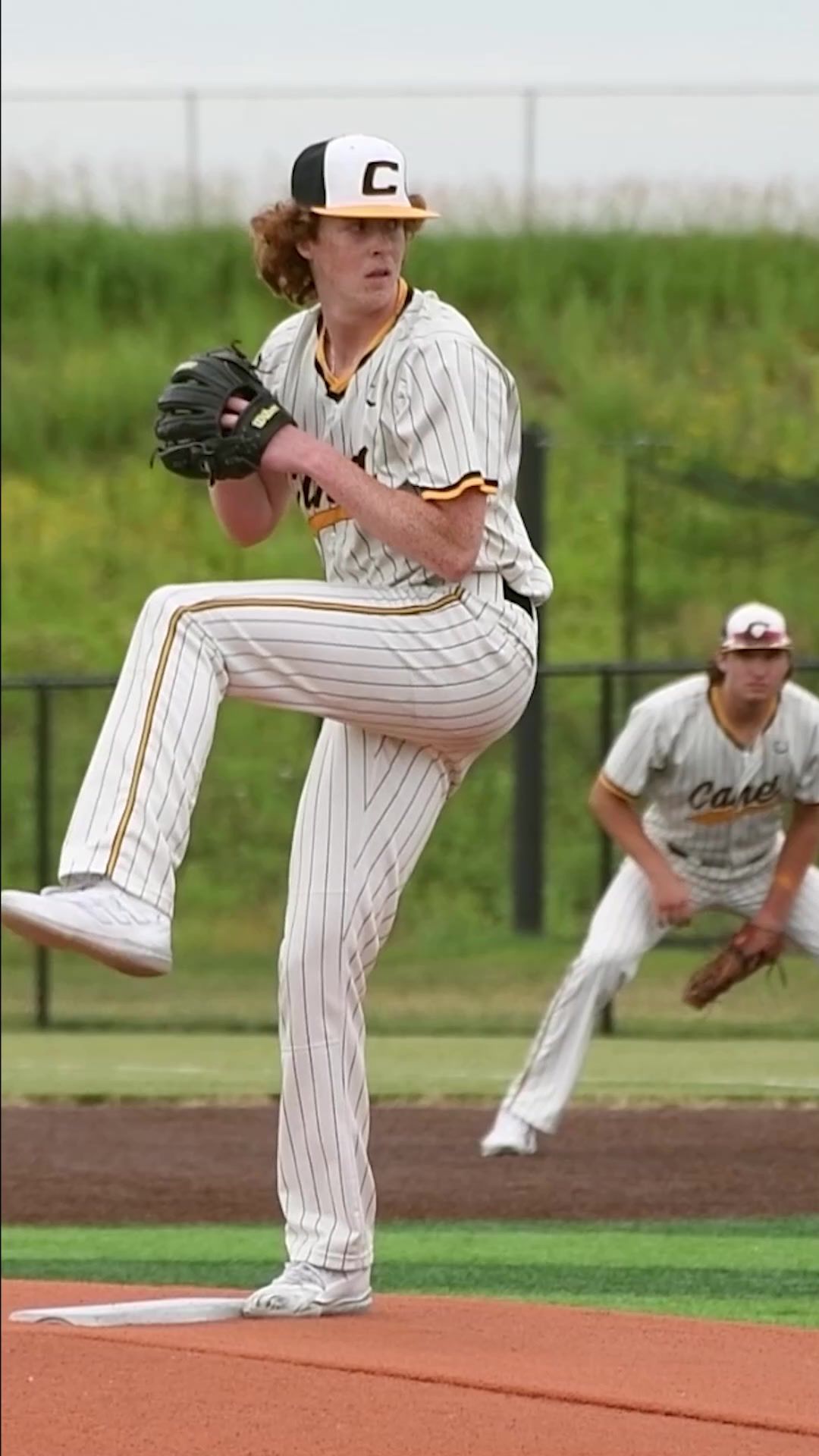 Video post by @canesillinois on TikTok