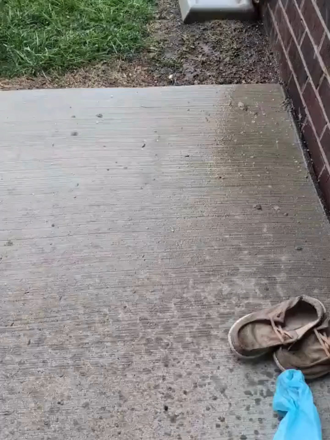 Video post by @foxweather on TikTok