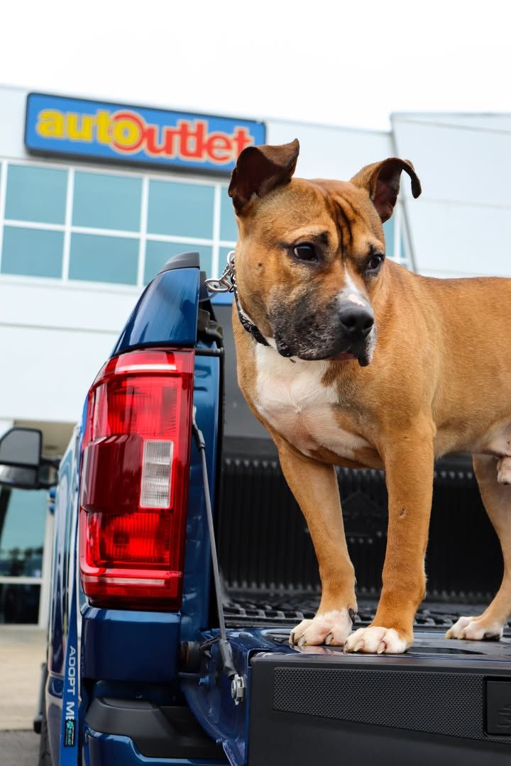 Image post by @PaulMillerAutoOutlet on Facebook