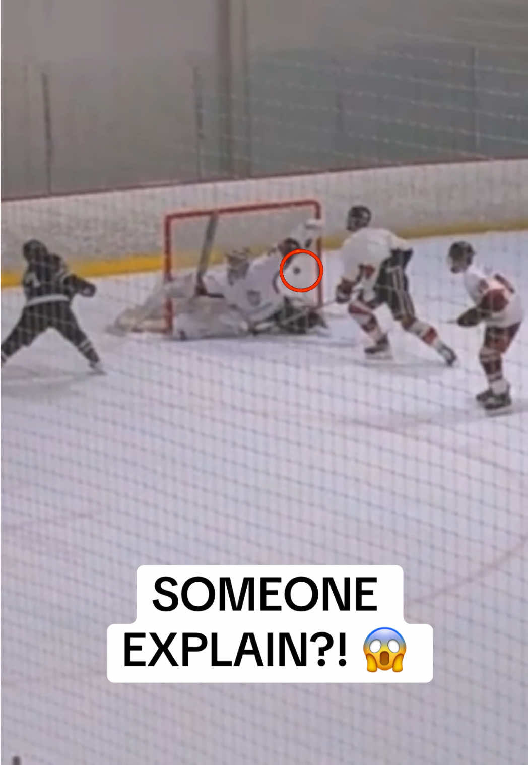 Video post by @tier.1.hockey.fed on TikTok