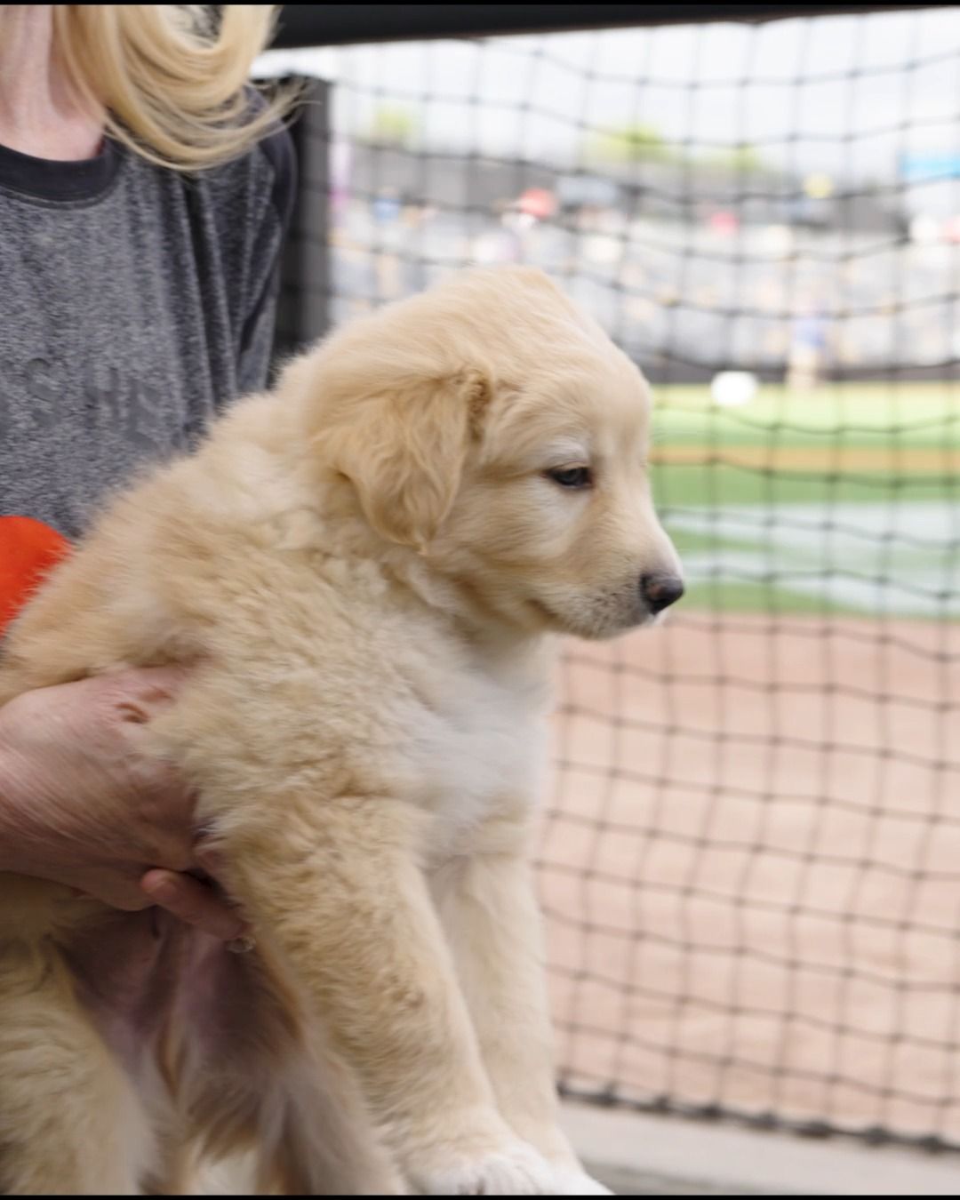 Video post by @stpaulsaints on Facebook