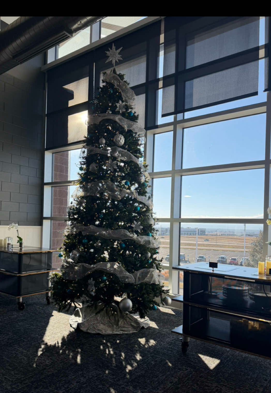 Video post by @bluefcuarena on TikTok