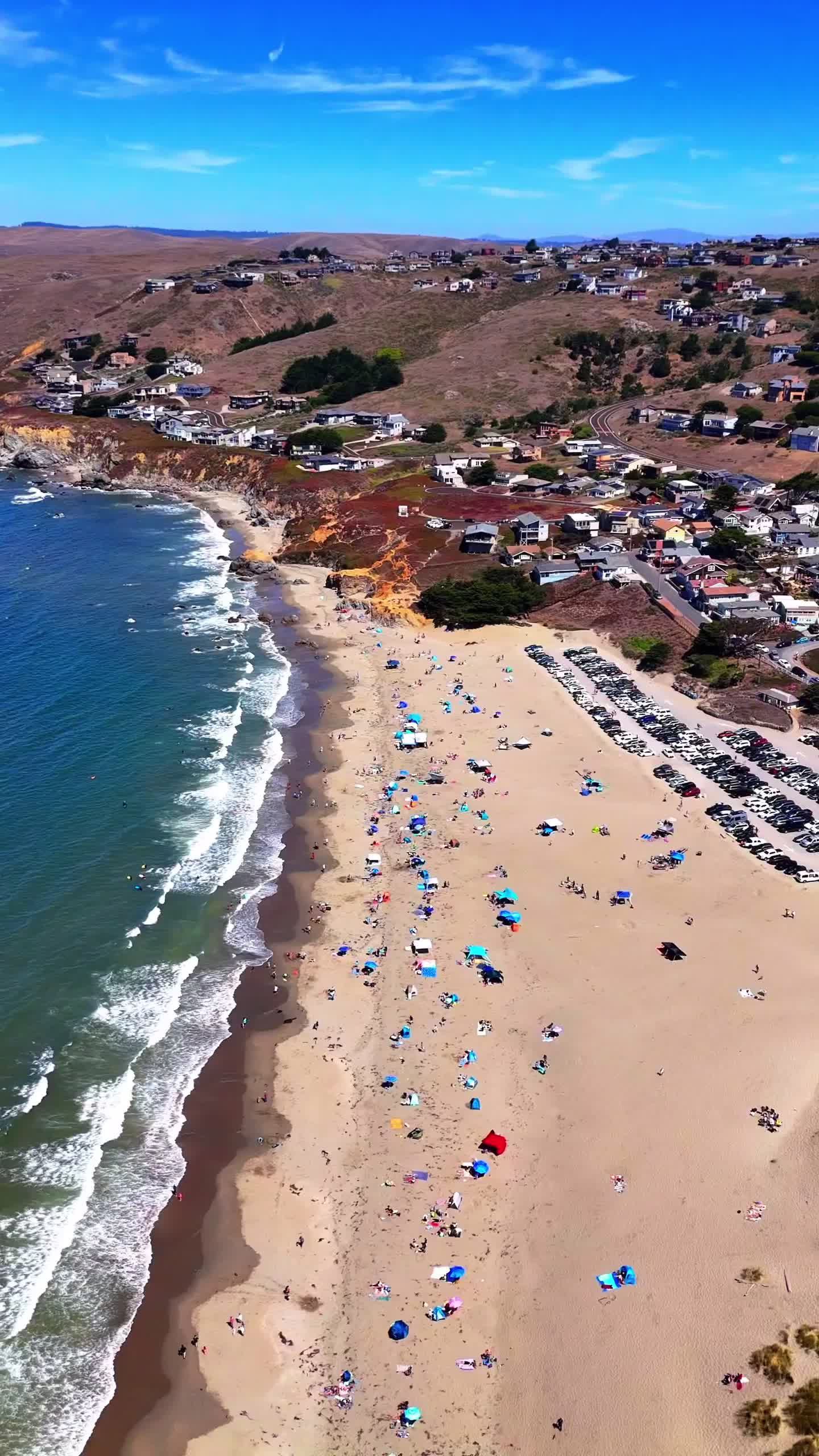 Video post by @dillonbeachresort on TikTok