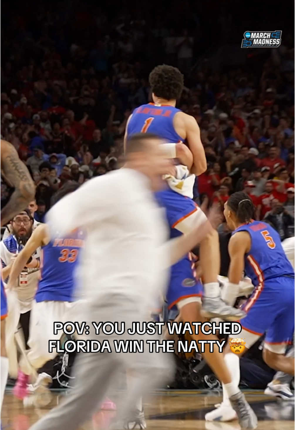 Video post by @houseofhighlights on TikTok