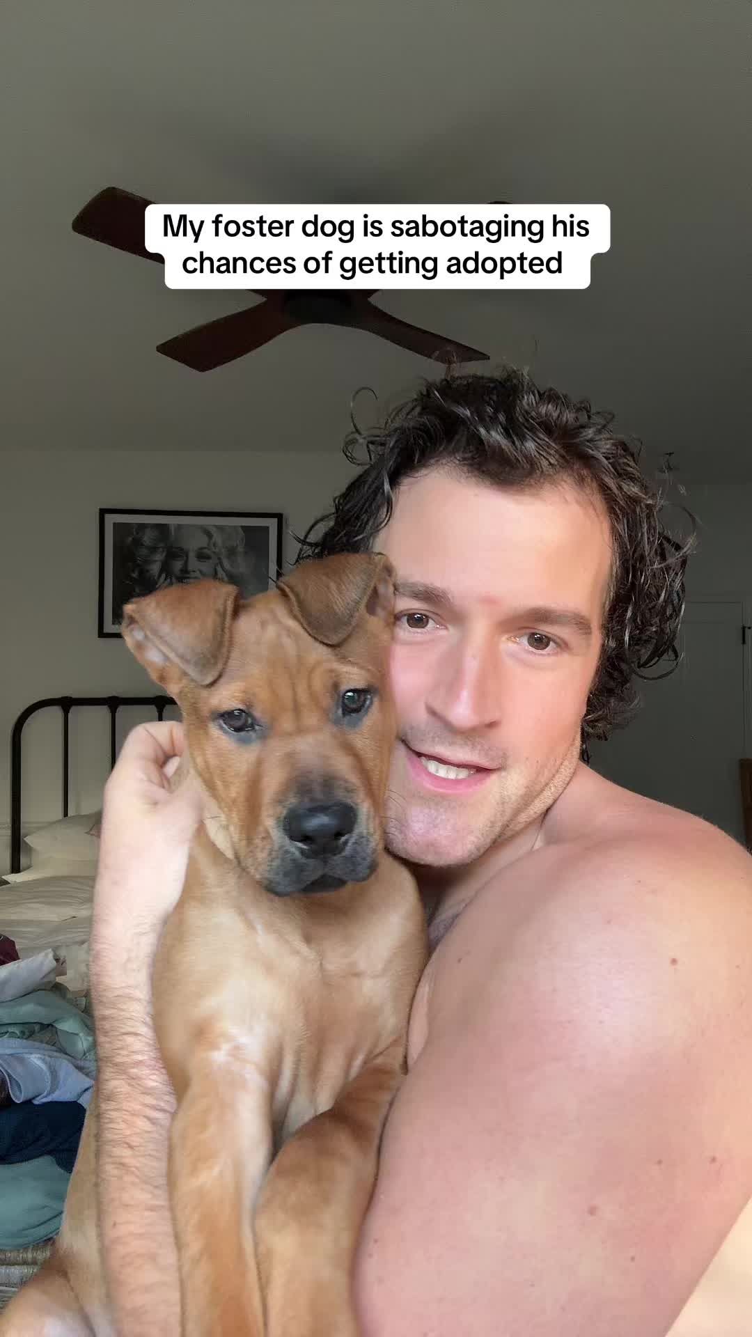 Video post by @nick_norcia on TikTok