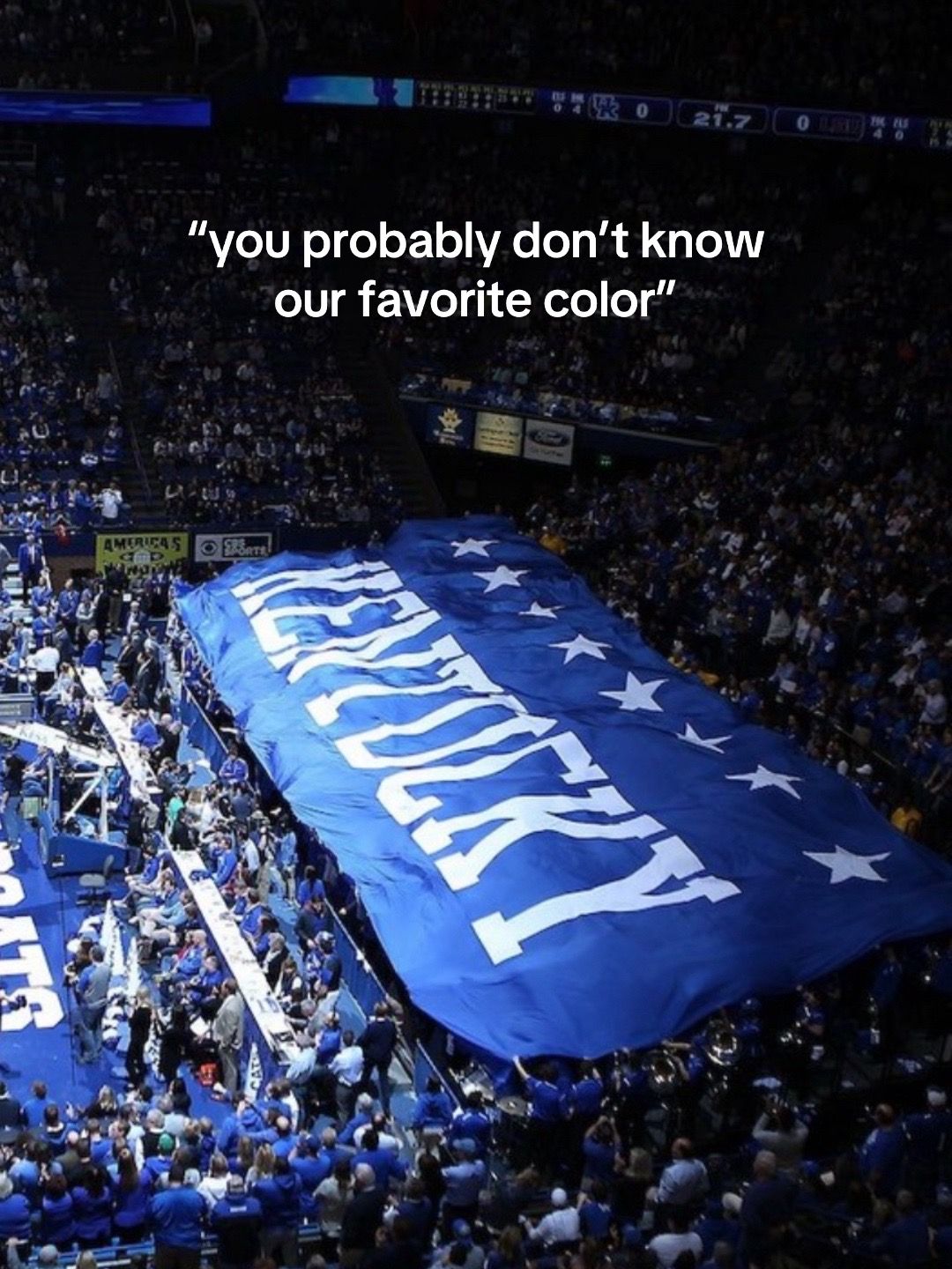 Video post by @_teamwildcat on TikTok