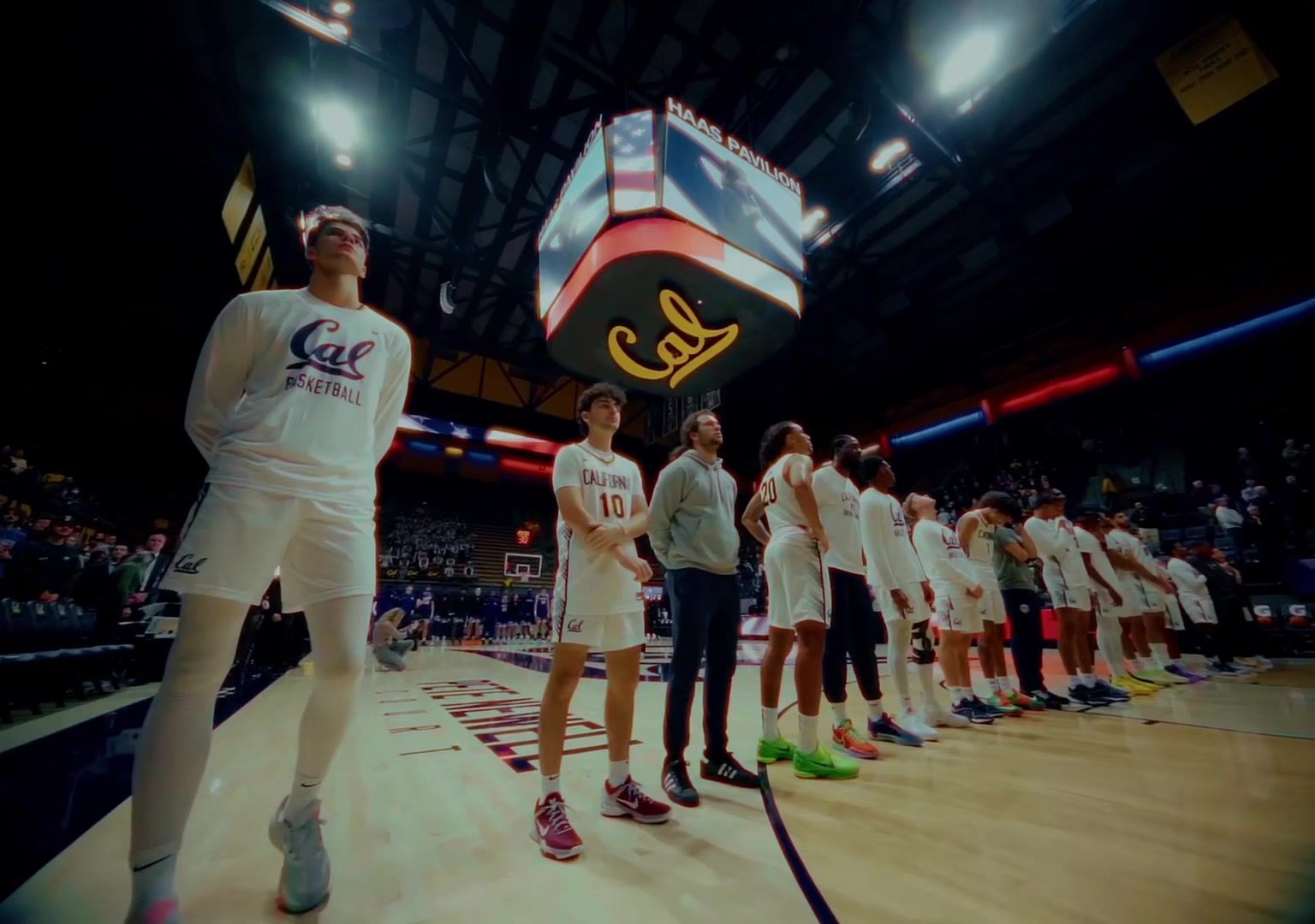 Video post by @luigi.aficial on TikTok