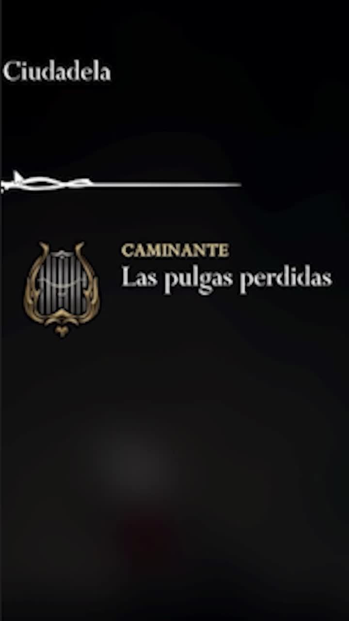 Video post by @rhaegargt on TikTok