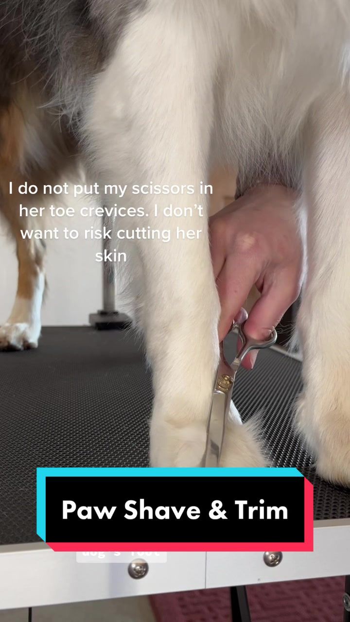 Video post by @mywildiris_ on TikTok