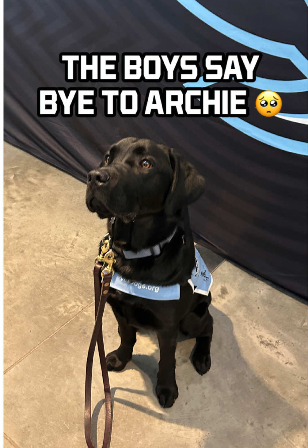 Video post by @utahmammoth on TikTok