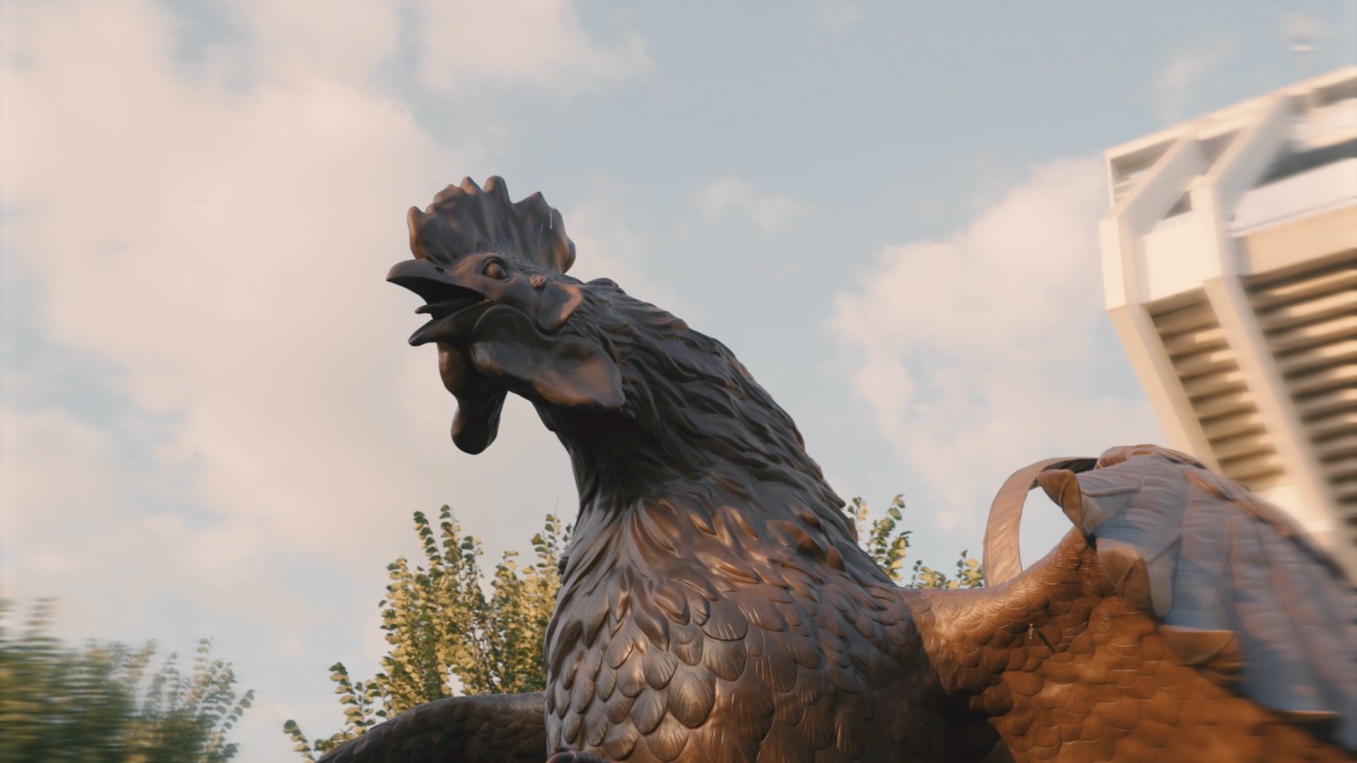 Video post by @GamecockFootball on Facebook