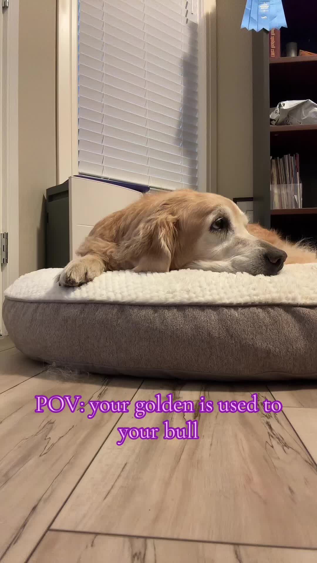 Video post by @taylor__kane on TikTok