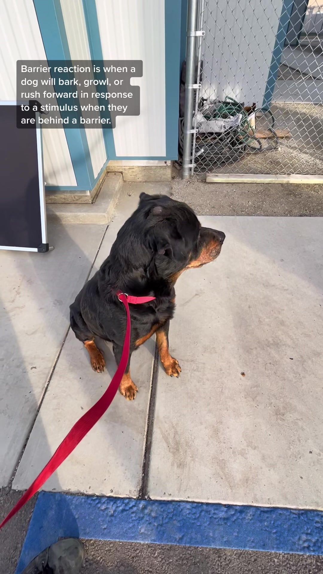 Video post by @acoalcorn on TikTok