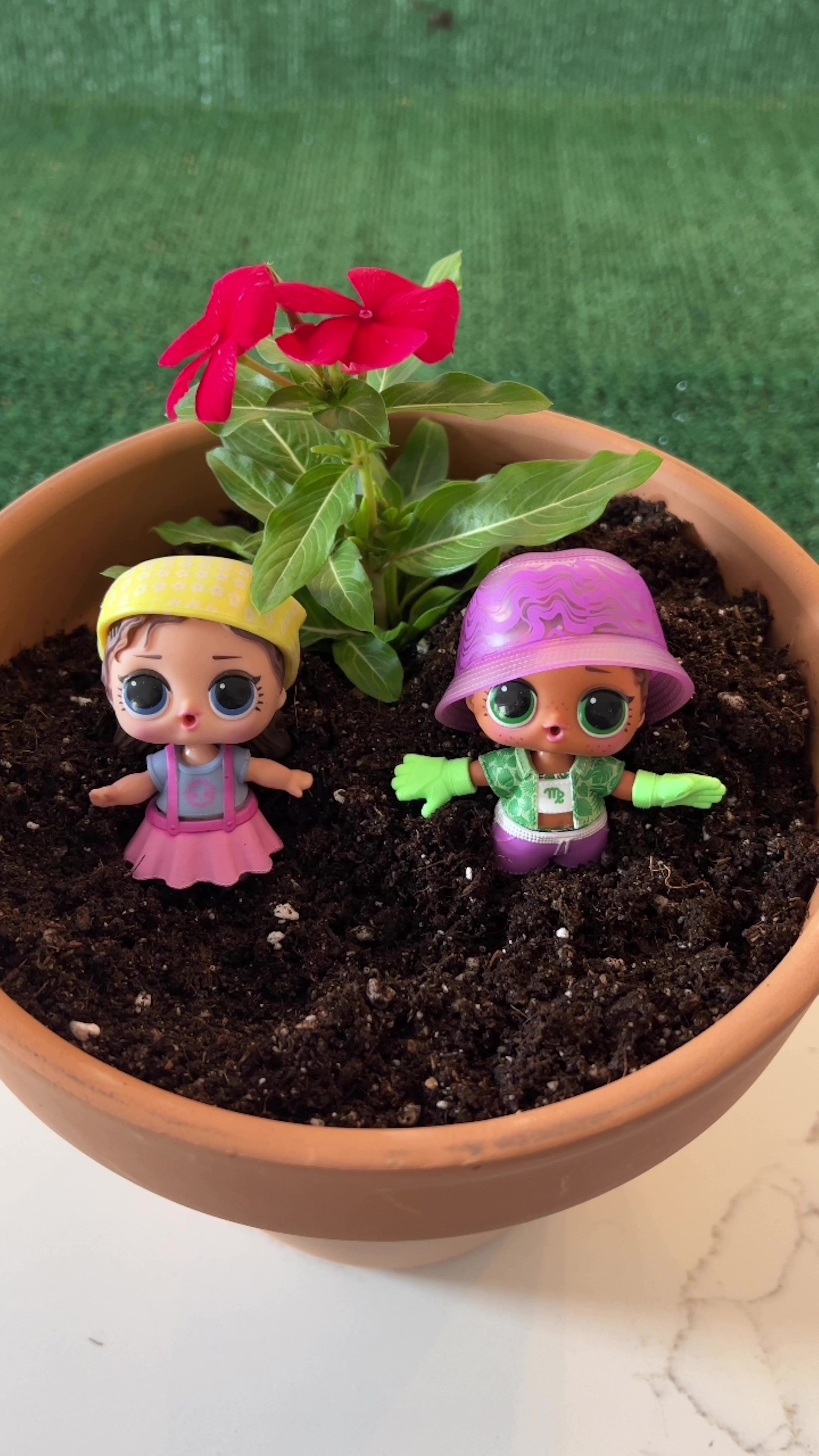 Video post by @lolsurprise on TikTok