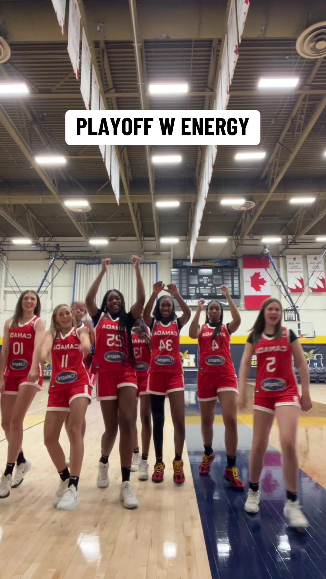 Video post by @canbball on TikTok