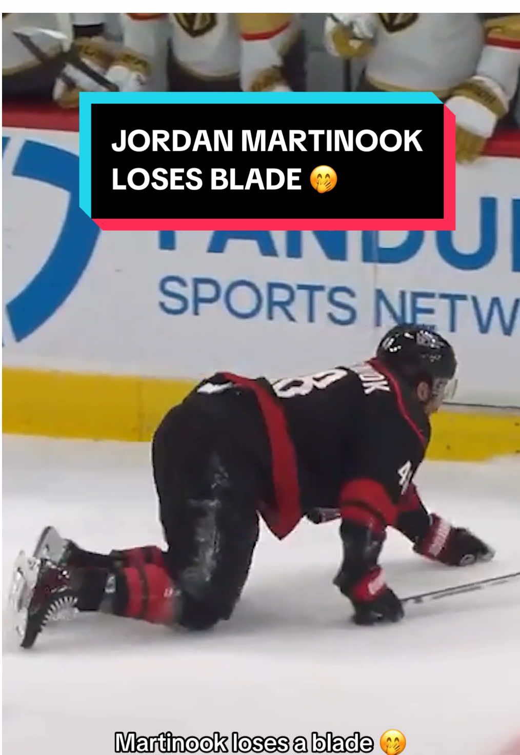 Video post by @nhl on TikTok