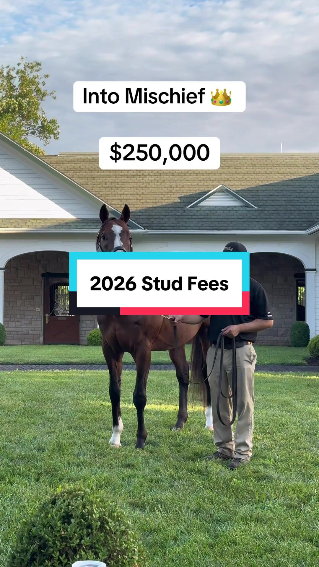Video post by @spendthriftfarm on TikTok