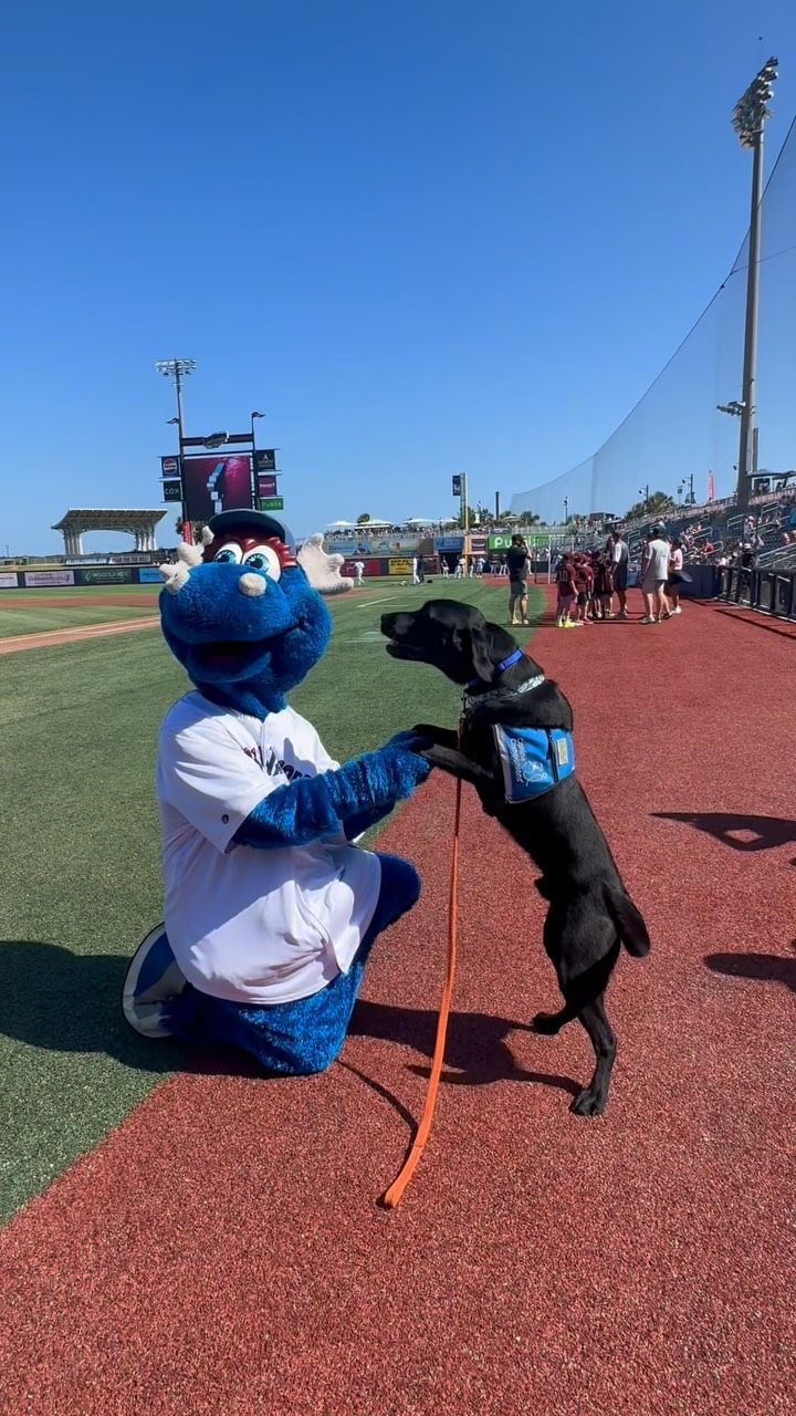 Video post by @BlueWahoosBaseball on Facebook