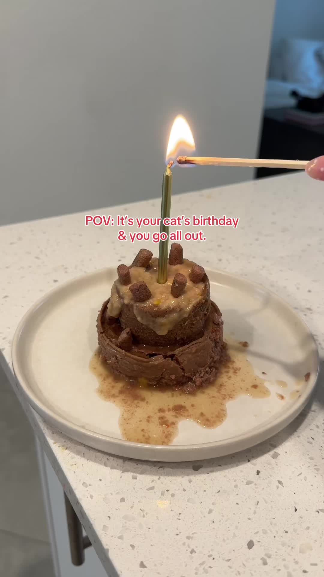 Video post by @petsmart on TikTok