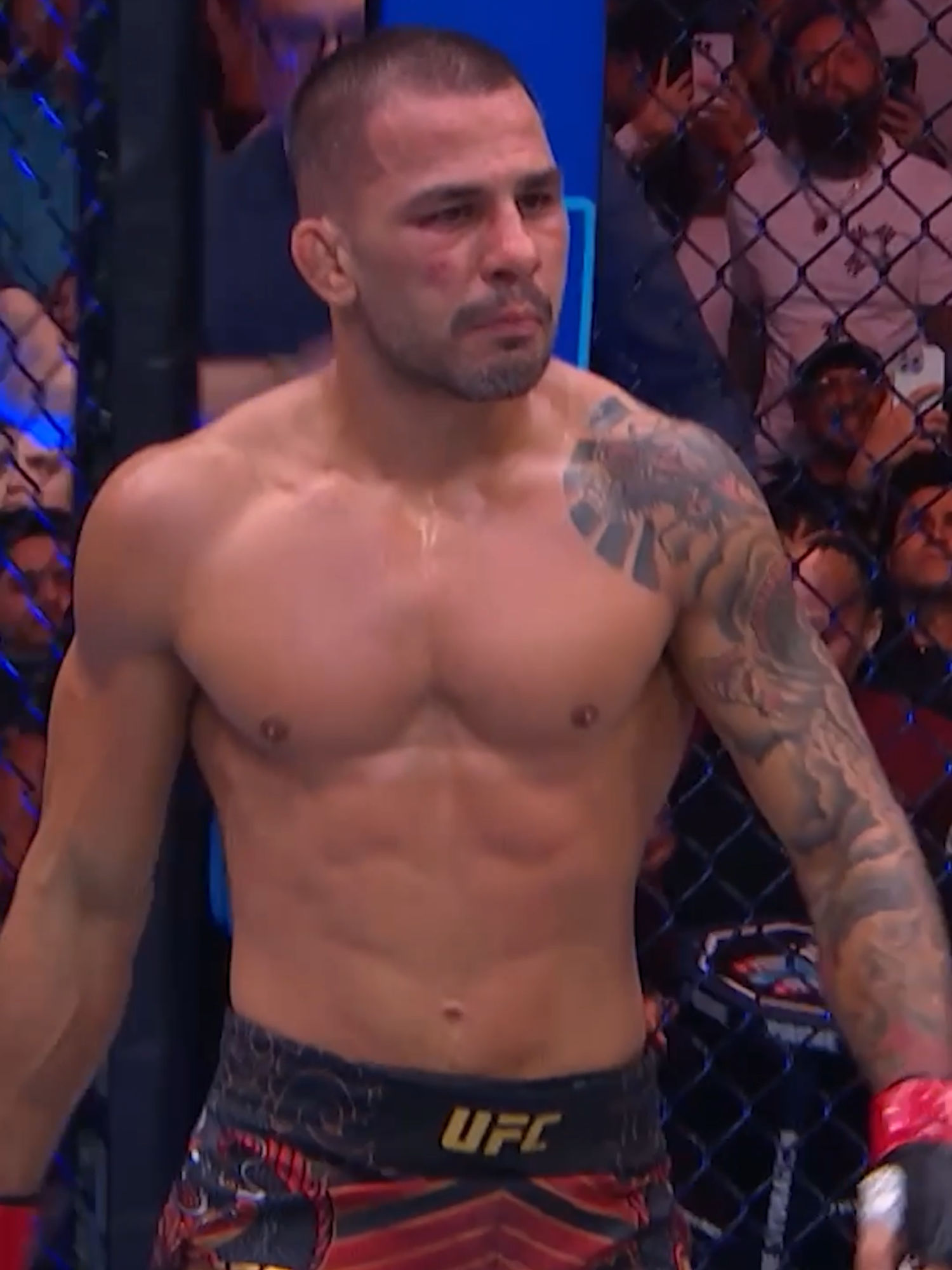 Video post by @ufc on TikTok