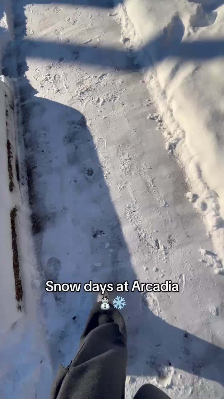 Video post by @arcadiauniversity on TikTok