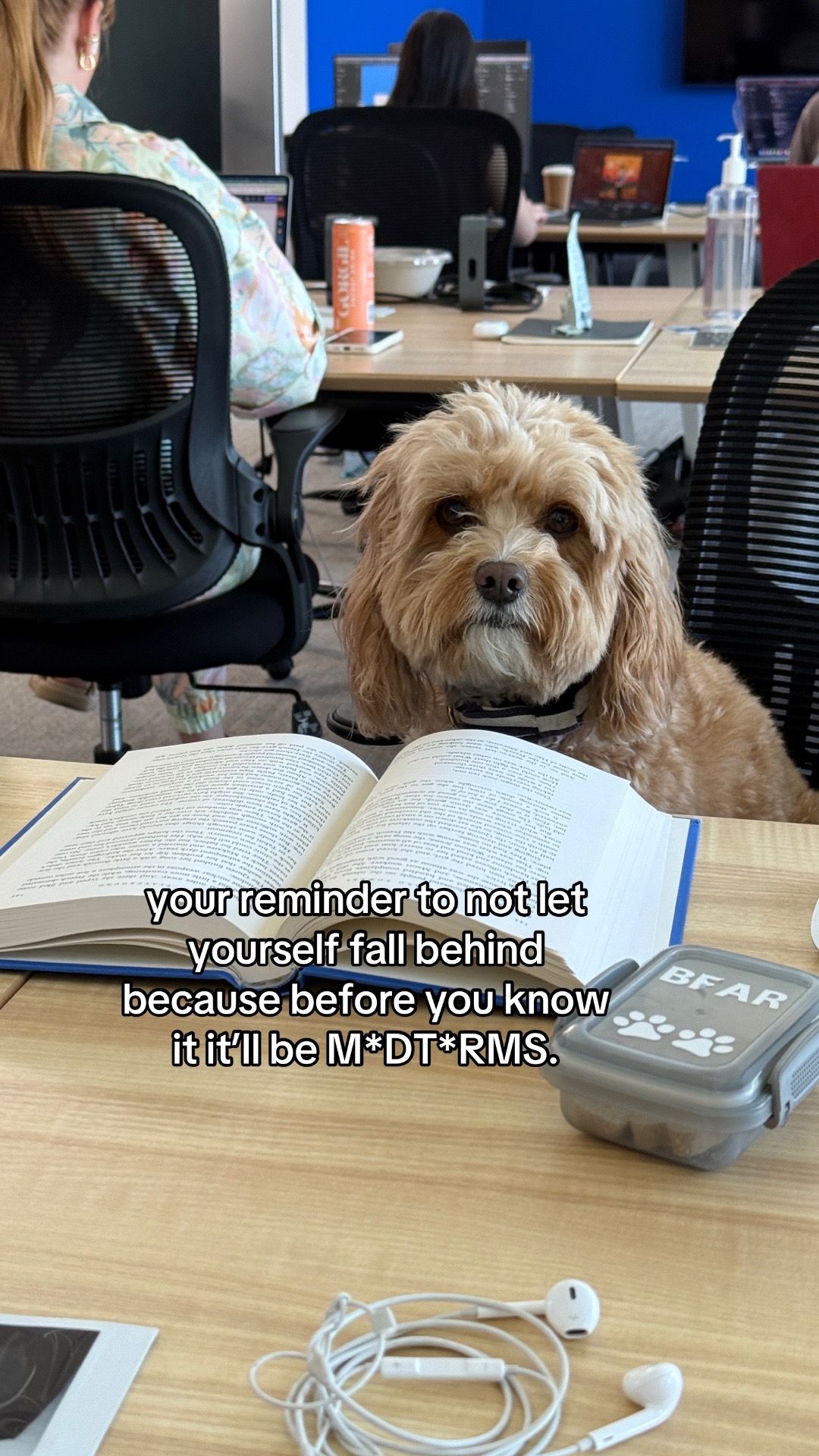 Video post by @homefromcollege on TikTok