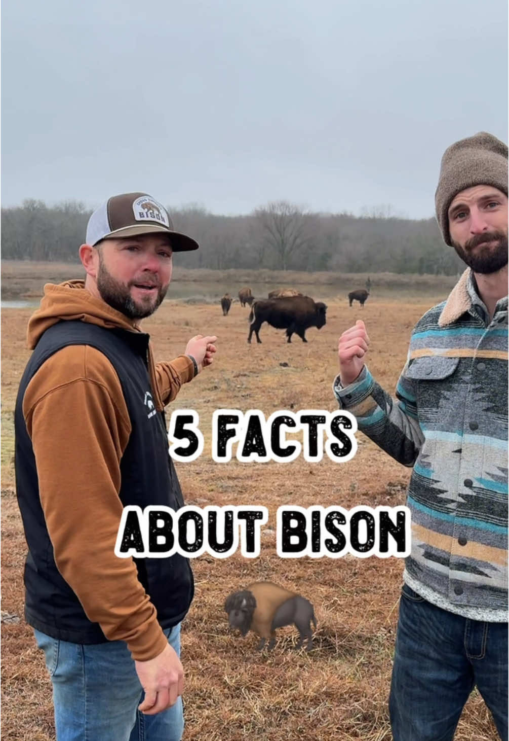 Video post by @shilohfarm on TikTok