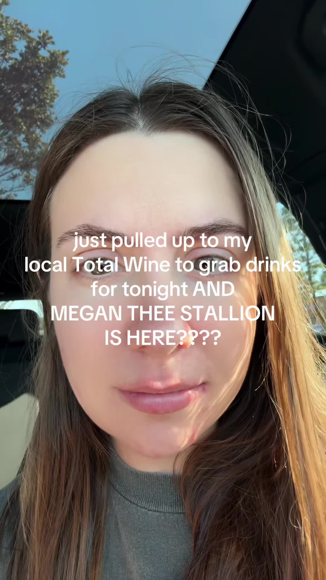 Video post by @spicychickenbaby on TikTok