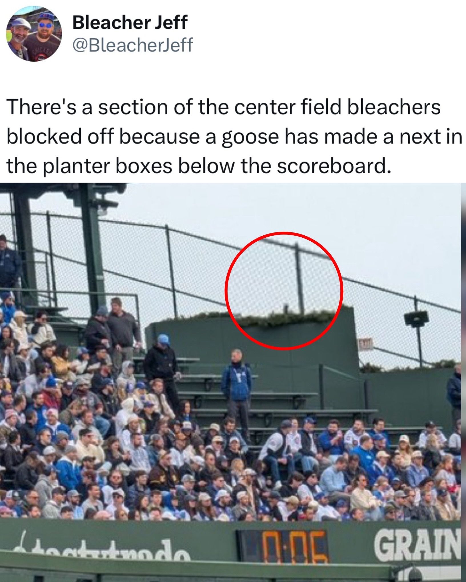 Video post by @whistle on TikTok