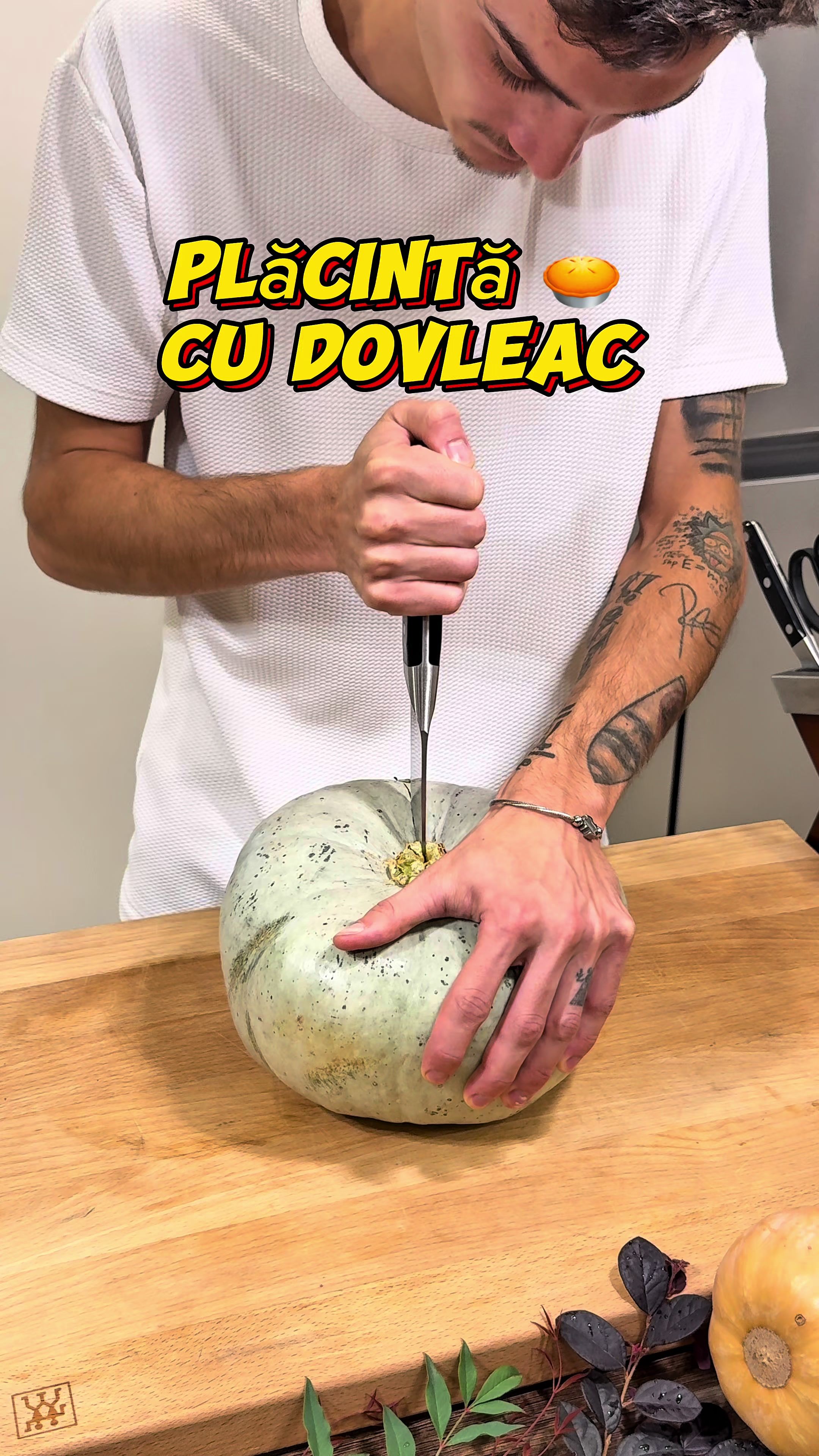 Video post by @nicusorosu on TikTok