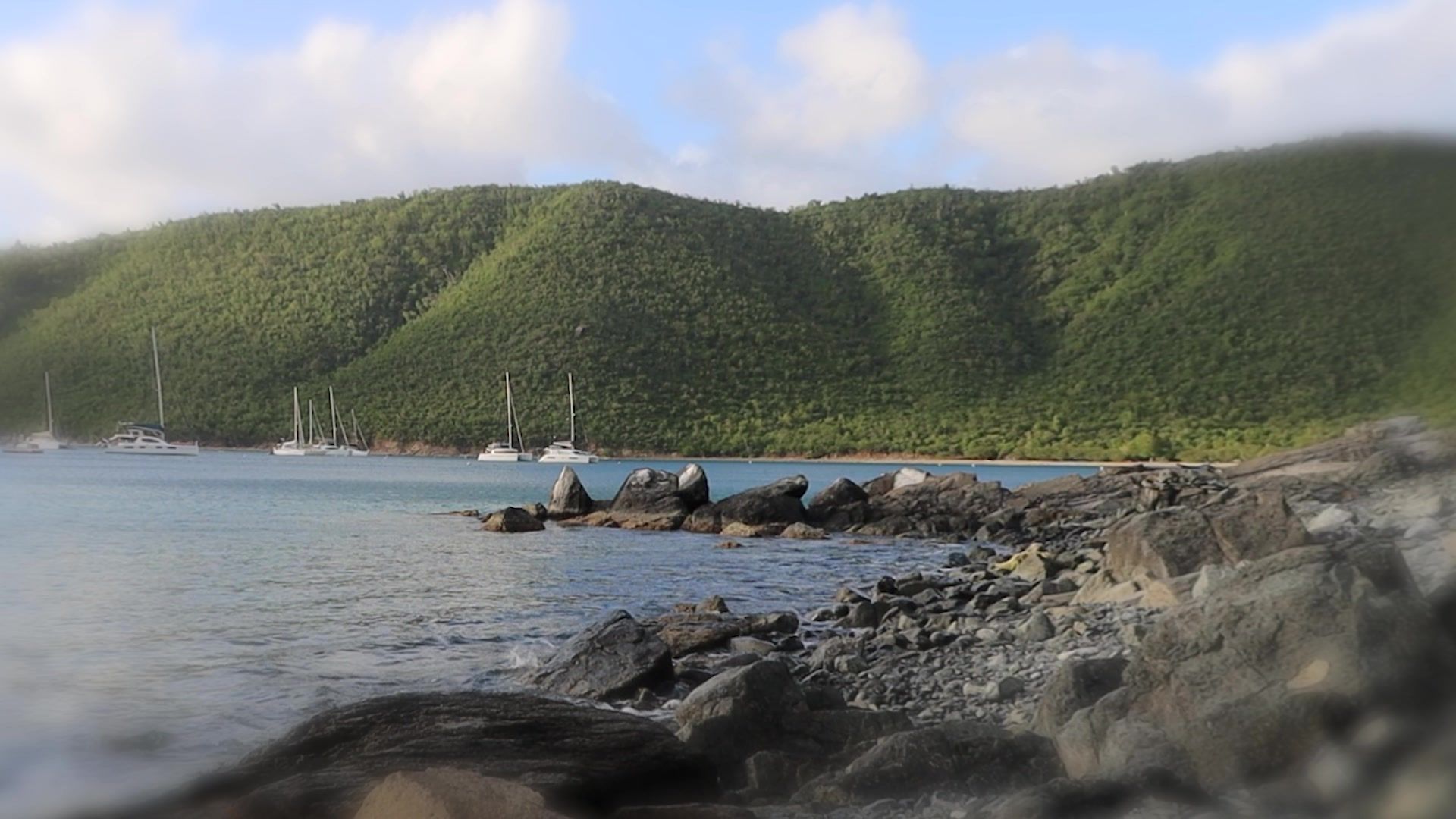 Video post by @loganjeffries519 on TikTok