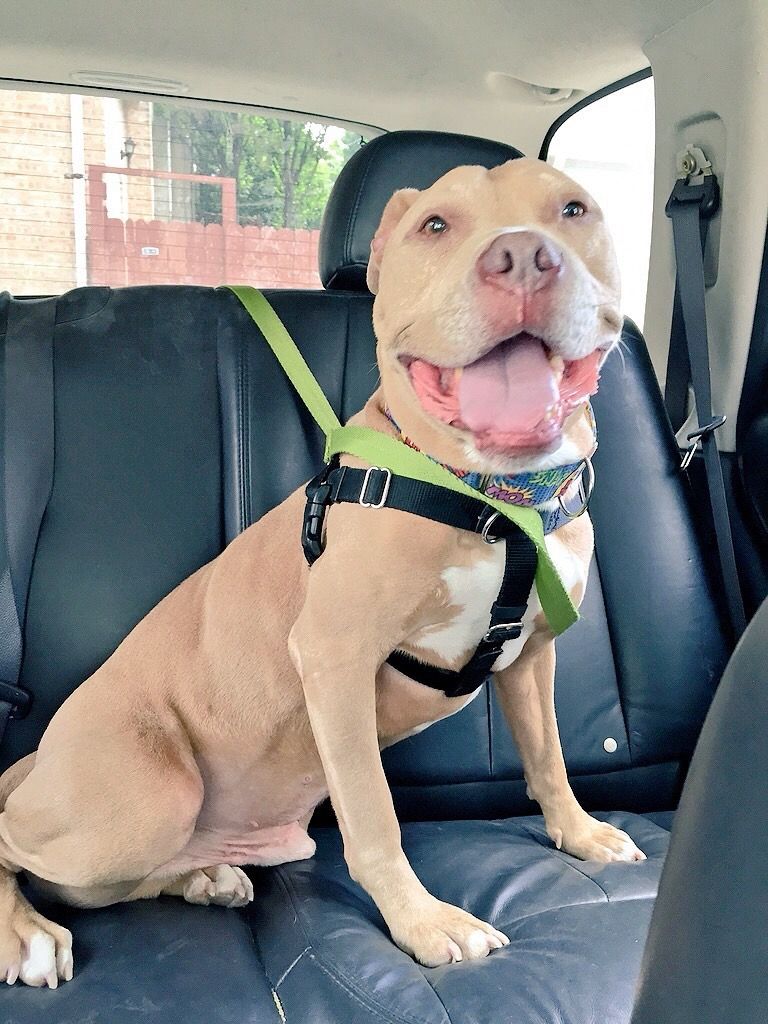 Video post by @livelikeroofoundation on TikTok