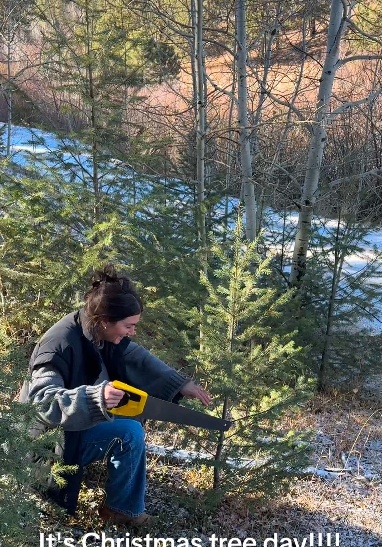 Video post by @taylorannwestt on TikTok