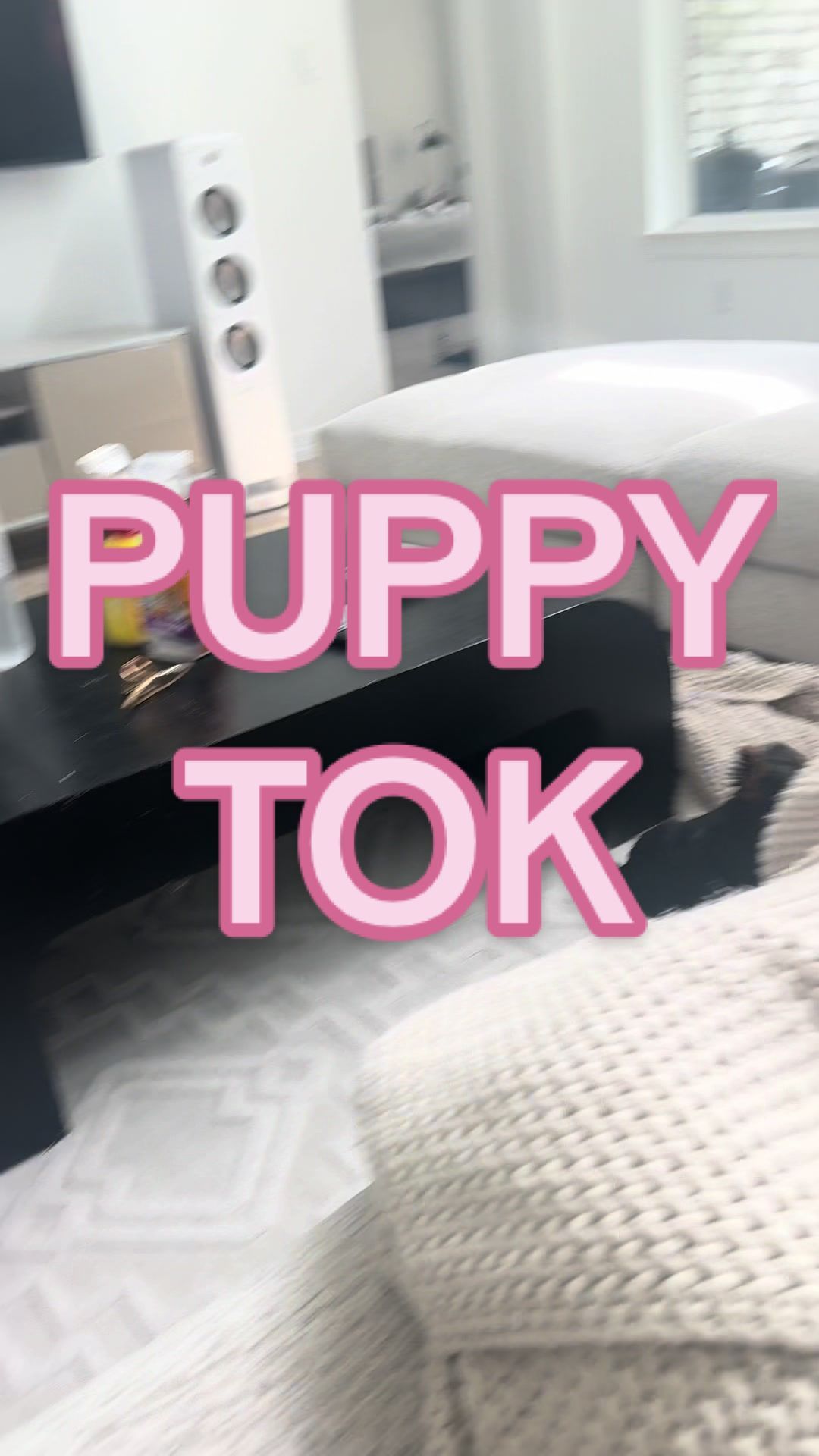 Video post by @maibrantesq on TikTok