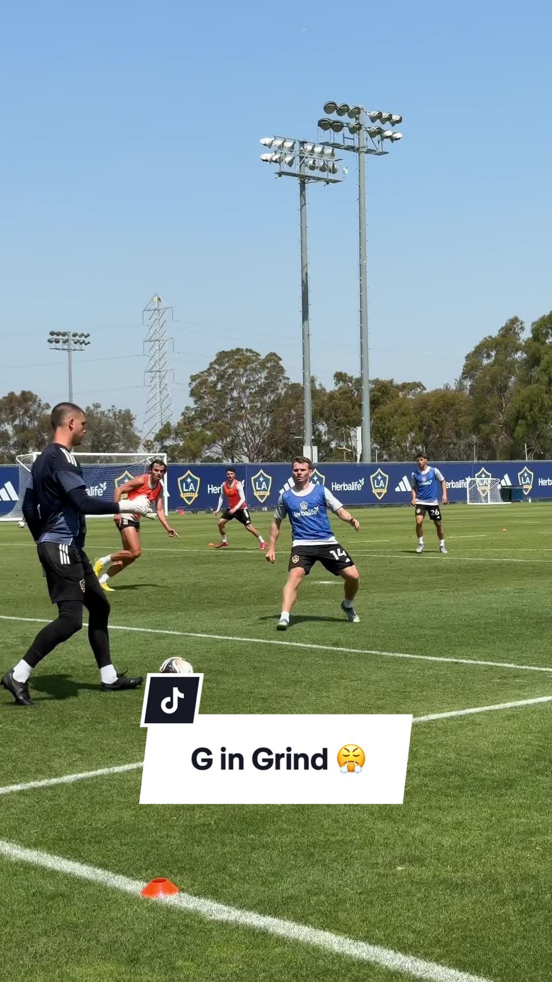Video post by @lagalaxy on TikTok