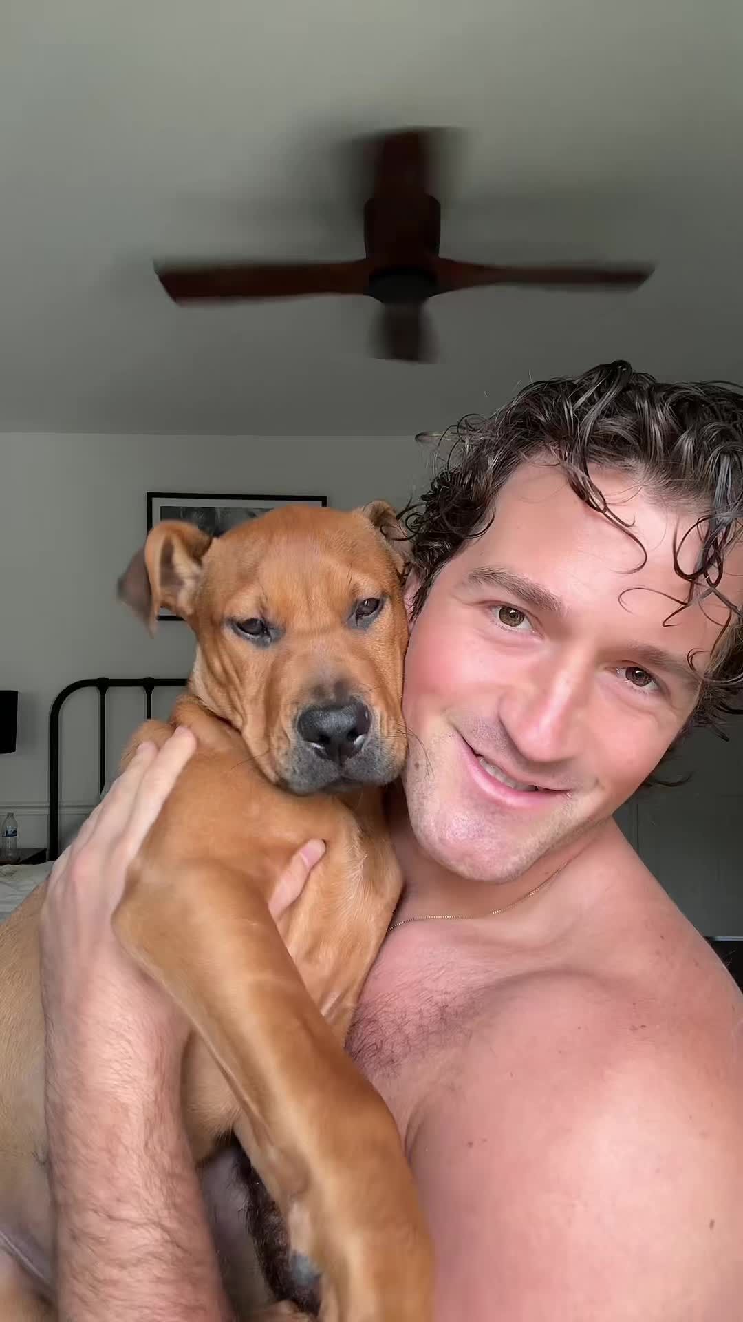 Video post by @nick_norcia on TikTok