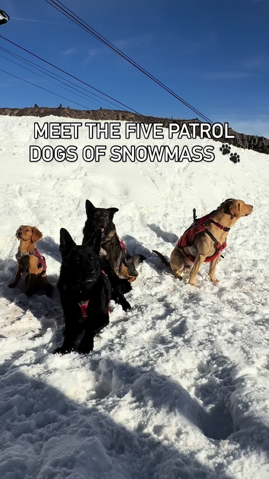 Video post by @aspensnowmass on TikTok