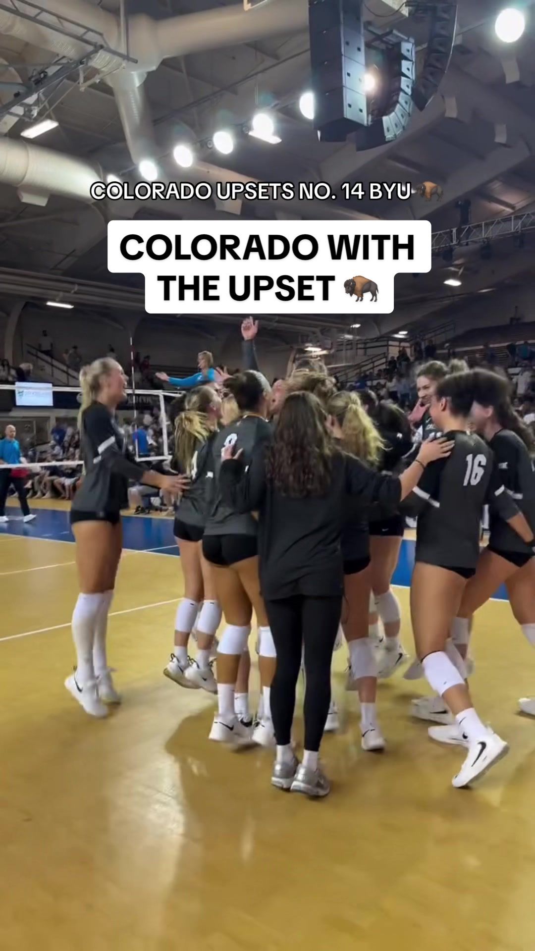 Video post by @ncaavolleyball on TikTok