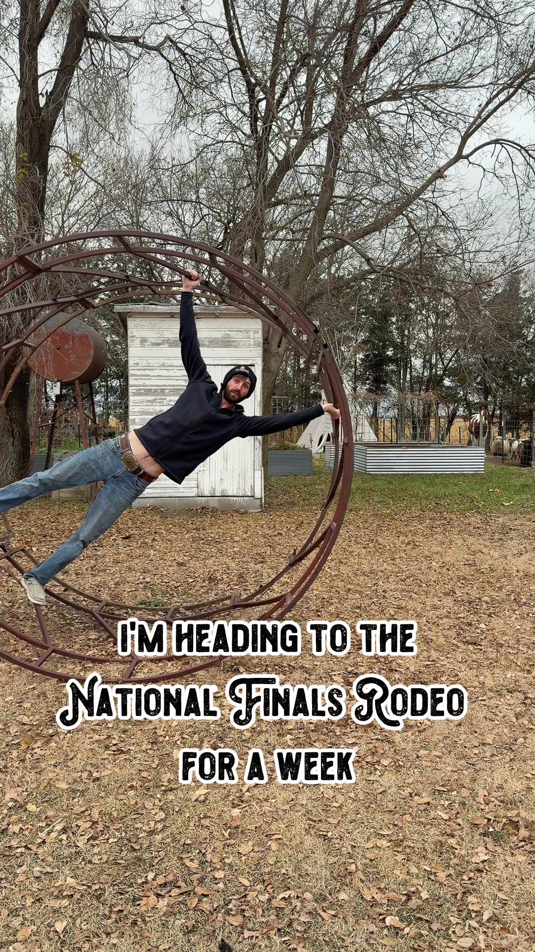 Video post by @shilohfarm on TikTok