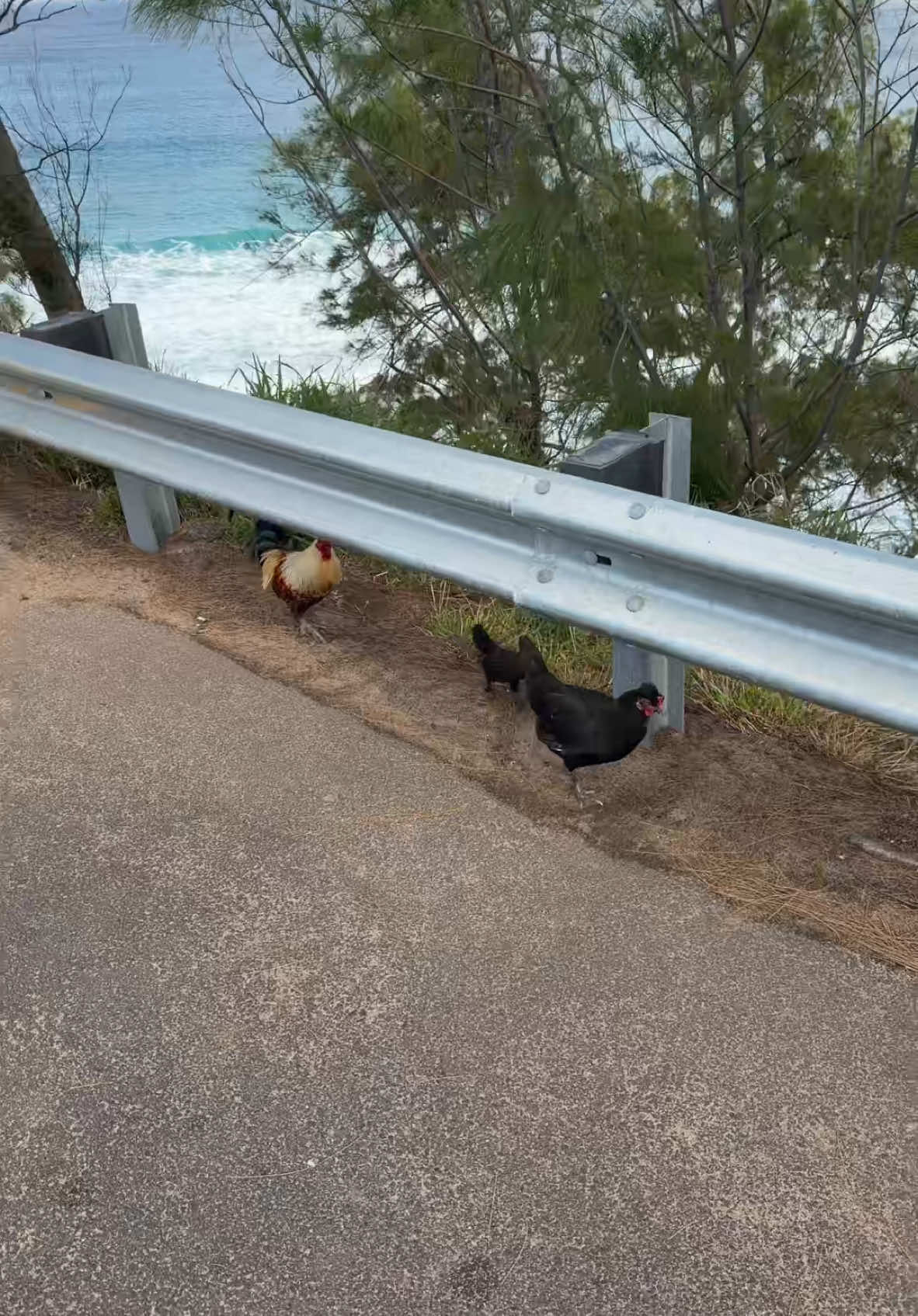 Video post by @nmillz1 on TikTok