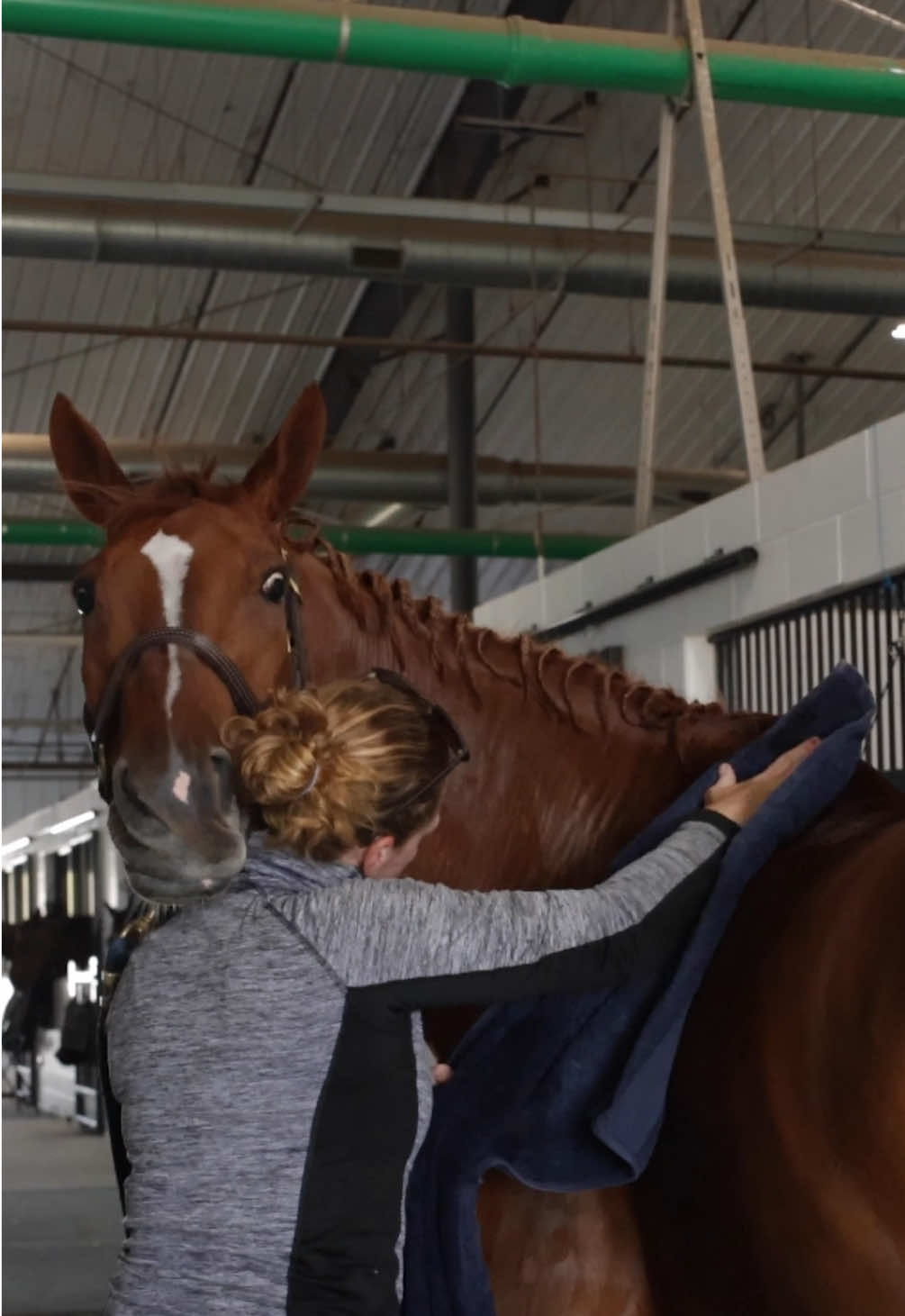 Video post by @usequestrian on TikTok