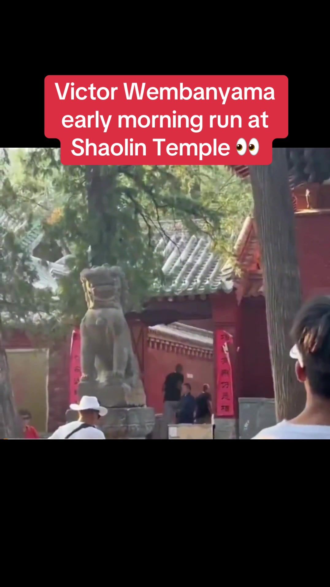 Video post by @whistle on TikTok