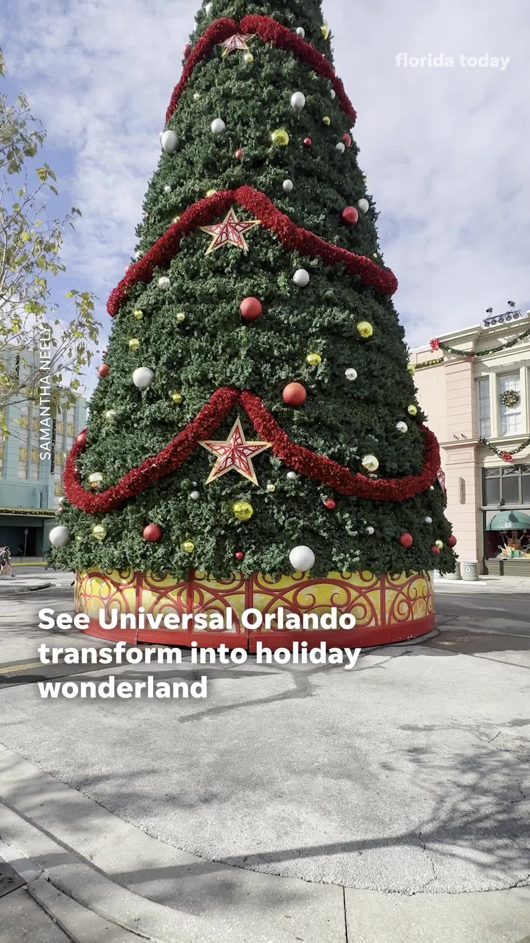 Video post by @usatoday on TikTok